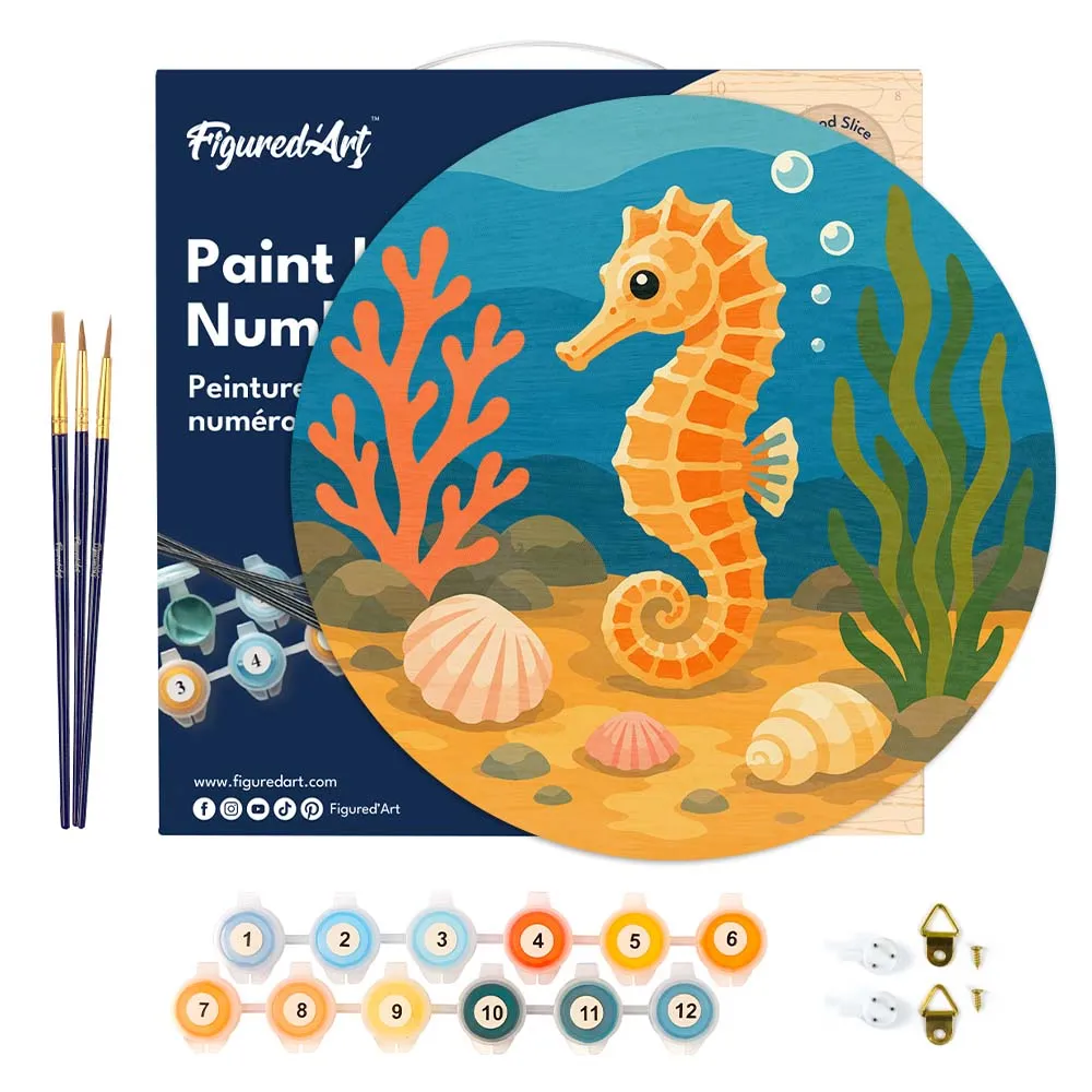 Figured'Art Zeepaardje schilderen op nummer houten schijf 30cm