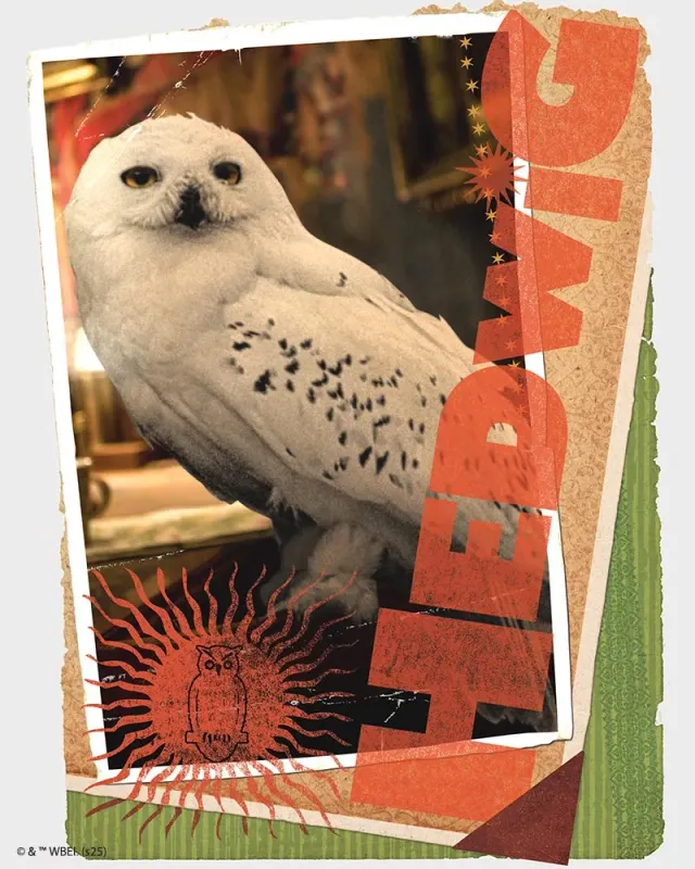 Figured'Art Hedwig Harry Potter Diamond Painting 40x50 Ingelijst