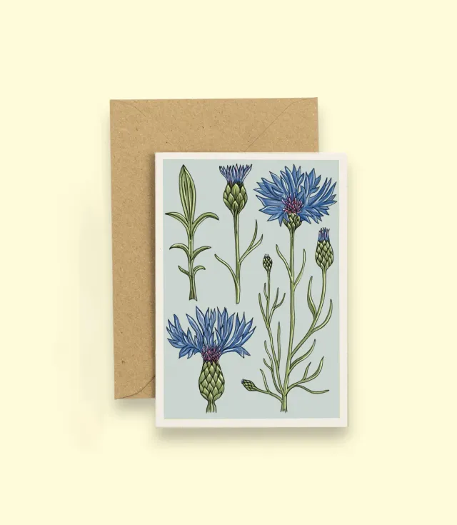 Studio Wald Vintage Cornflower wenskaart A6 blanco