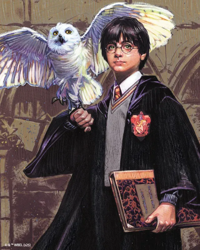 Figured'Art Harry Potter en Hedwig Diamond Painting 40x50 cm