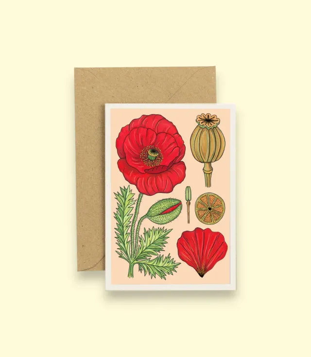 Studio Wald Vintage Poppy A6 wenskaart botanisch