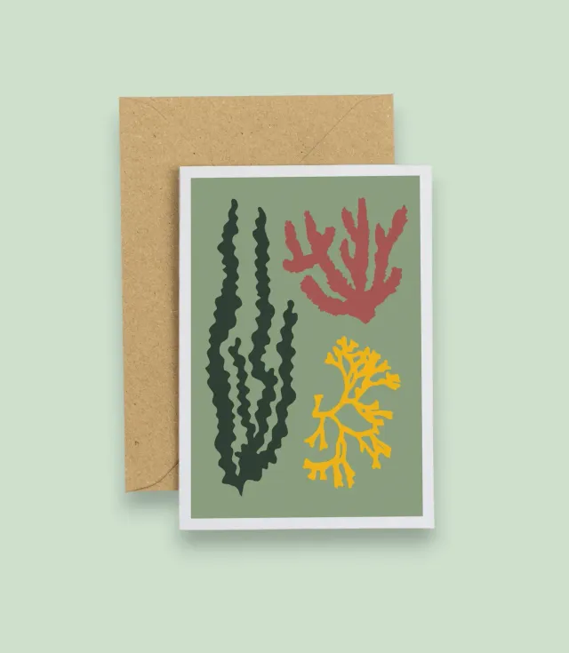 Studio Wald Seaweed wenskaart A6 groen seconds