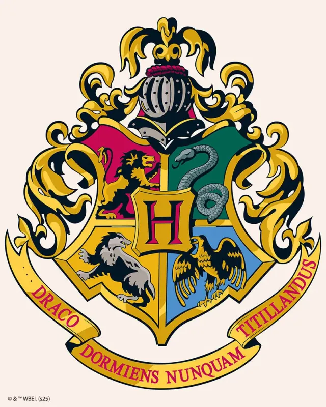 Figured'Art Harry Potter Hogwarts diamond painting 40x50