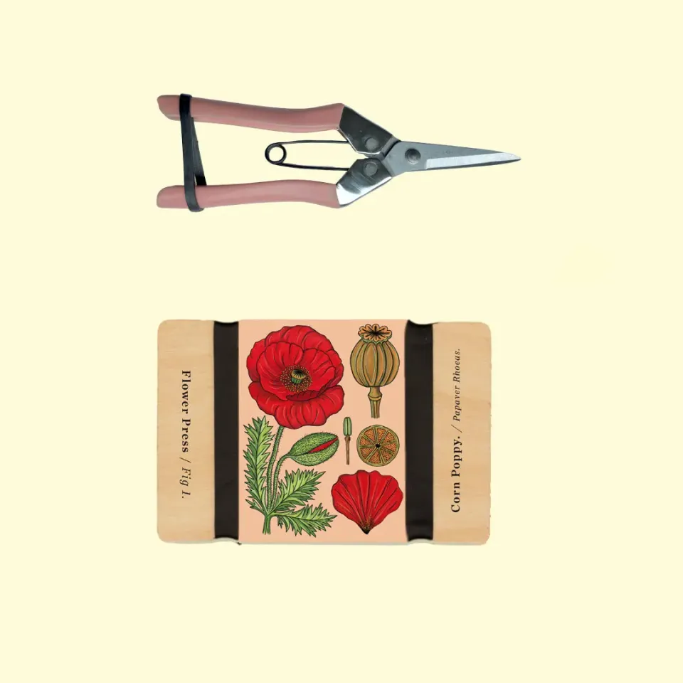 Studio Wald Botanical Gift Set cadeauset Corn Poppy 10
