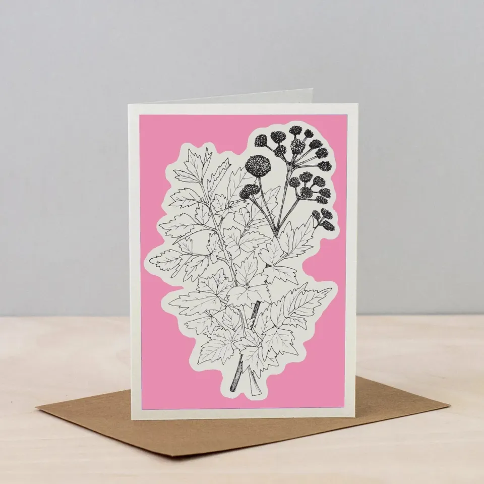 Studio Wald Herbs Line 6 A6 kaart blanco kruiden