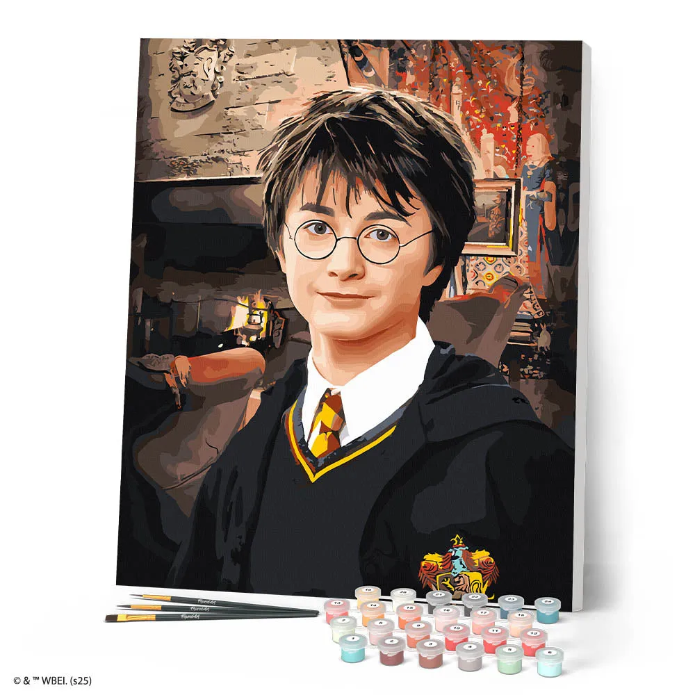 Figured'Art Portret van Harry Potter schilderen op nummer 40x50 cm gemiddeld