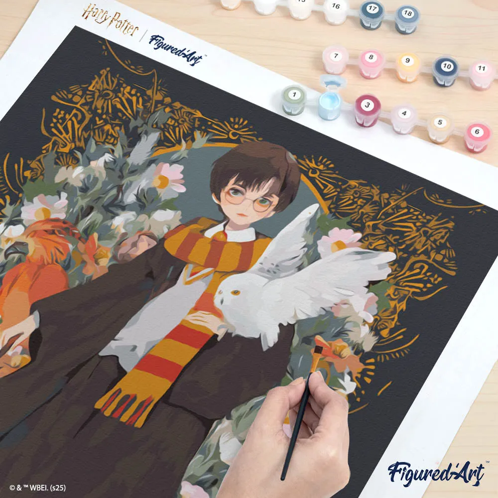 Figured'Art Harry Potter Yume schilderen op nummer 40x50cm gevorderd