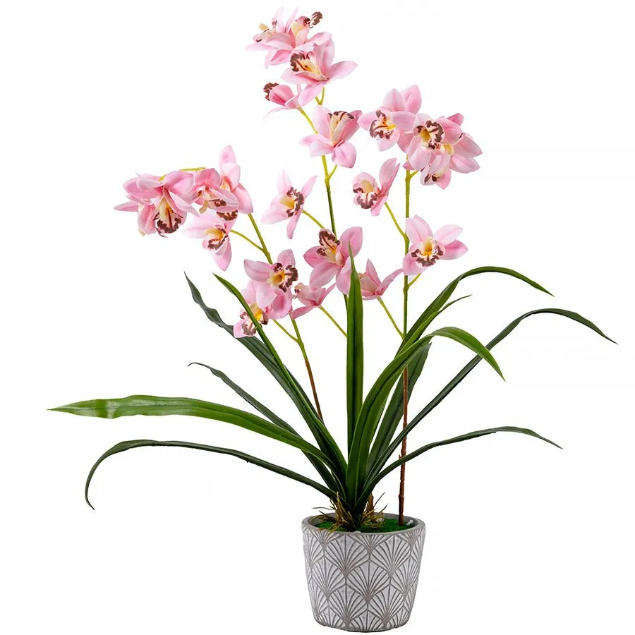 Craft Buddy Forever Flowerz Cymbidium orchidee roze-wit pot