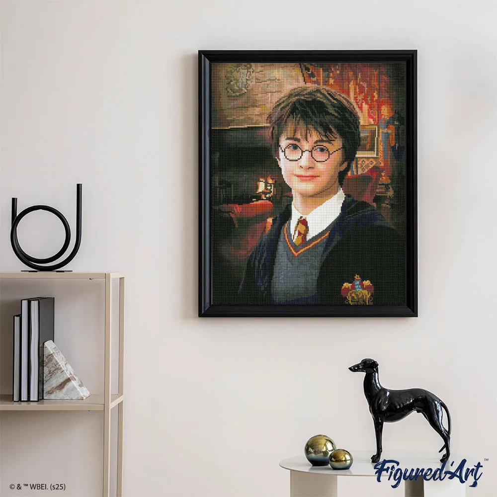 Figured'Art Harry Potter Portret diamond painting 40x50cm ingelijst