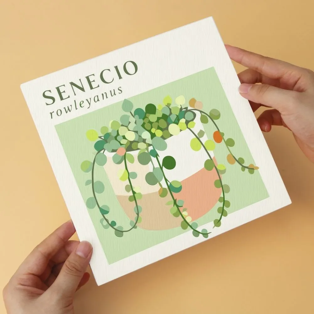 Figured'Art Mini Serie Vetplanten tuin schilderen op nummer 20x20cm 6 stuks