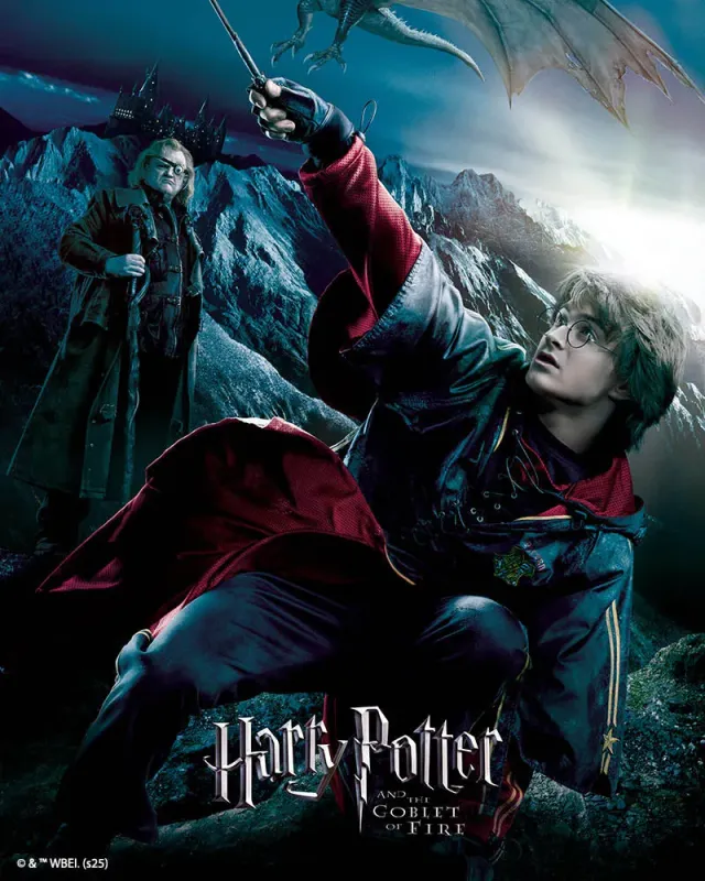 Figured'Art Harry Potter Vuurbeker Diamond Painting Film