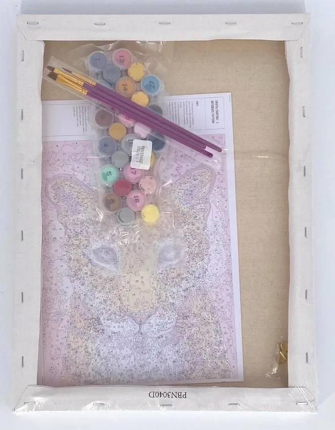 Craft Buddy Rise Rachel Froud schilderen op nummer 30x40cm