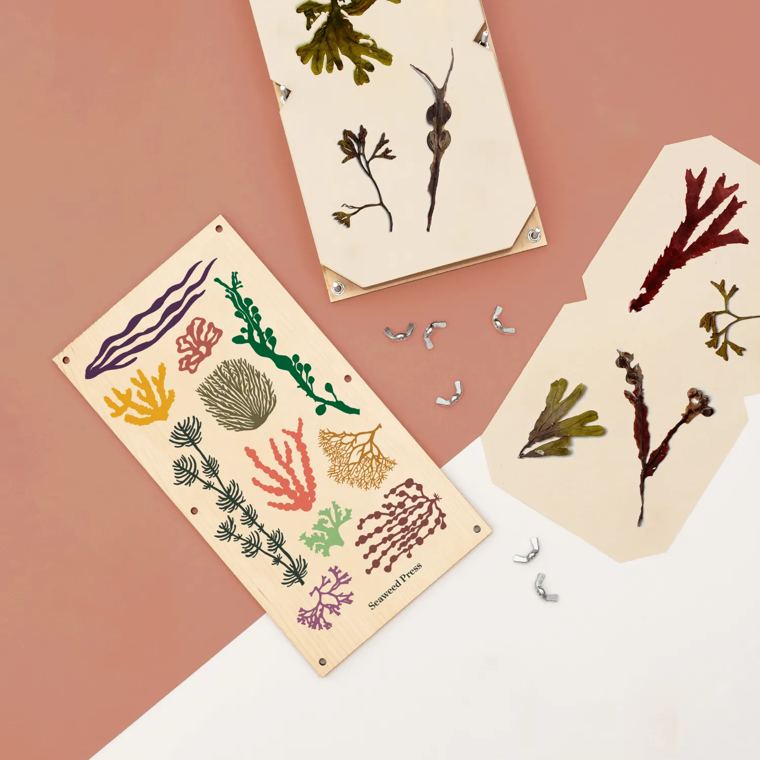 Studio Wald Large Seaweed Press zeewierpers 28 cm