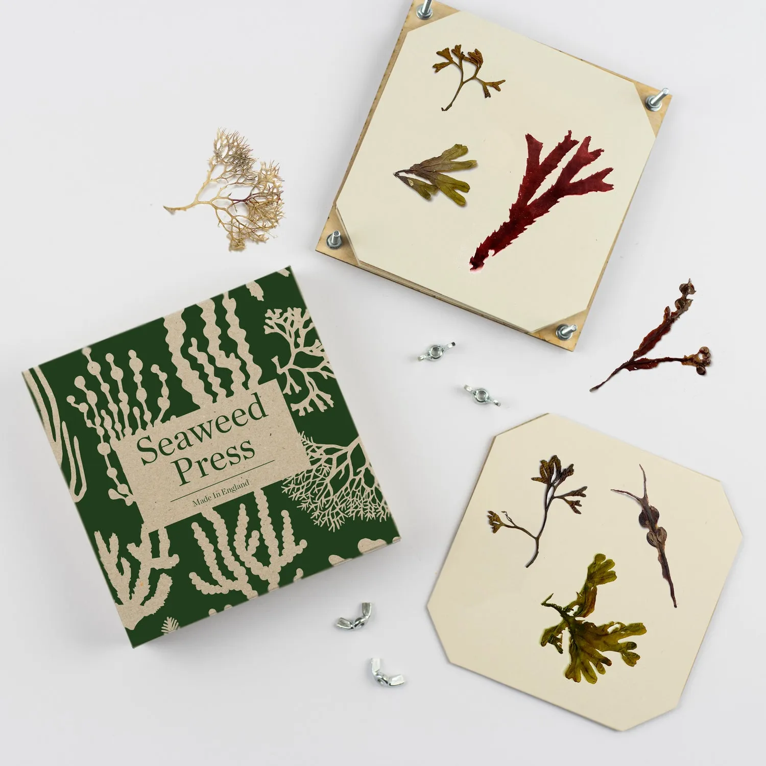 Studio Wald Seaweed Press navulset 14,5x14,5 cm papier