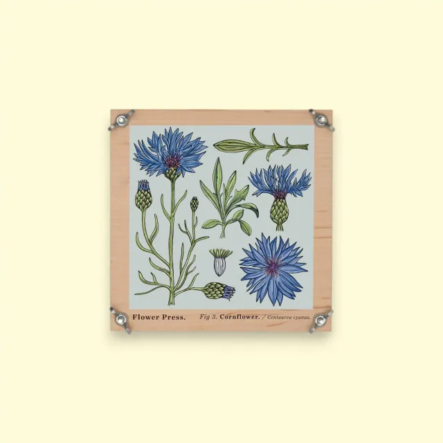 Studio Wald Flower Press Vintage Cornflower bloemenpers 15 cm seconds
