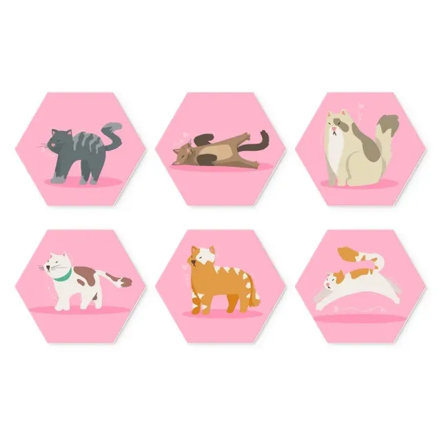 Figured'Art Mini Zeshoeken Dieren in roze Schilderen op Nummer 6st