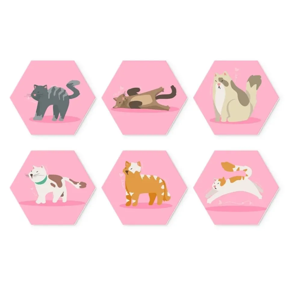 Figured'Art Mini Zeshoeken Dieren in roze Schilderen op Nummer 6st