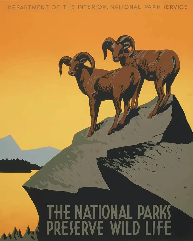 Figured'Art Poster van nationale parken schilderen op nummer 40x50cm vintage