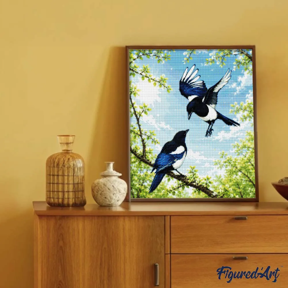 Figured'Art Lente-eksters Diamond Painting Vogels 40x50