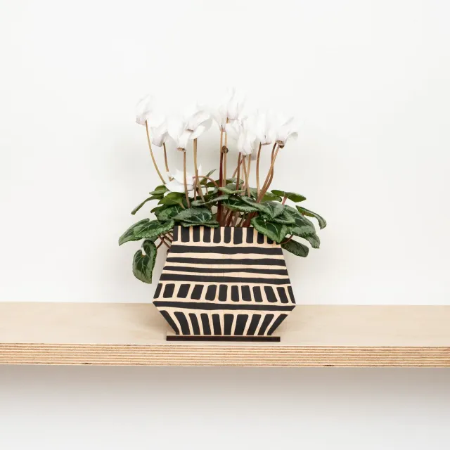 Studio Wald Pot Screen Cubes pothoes hout 25 cm