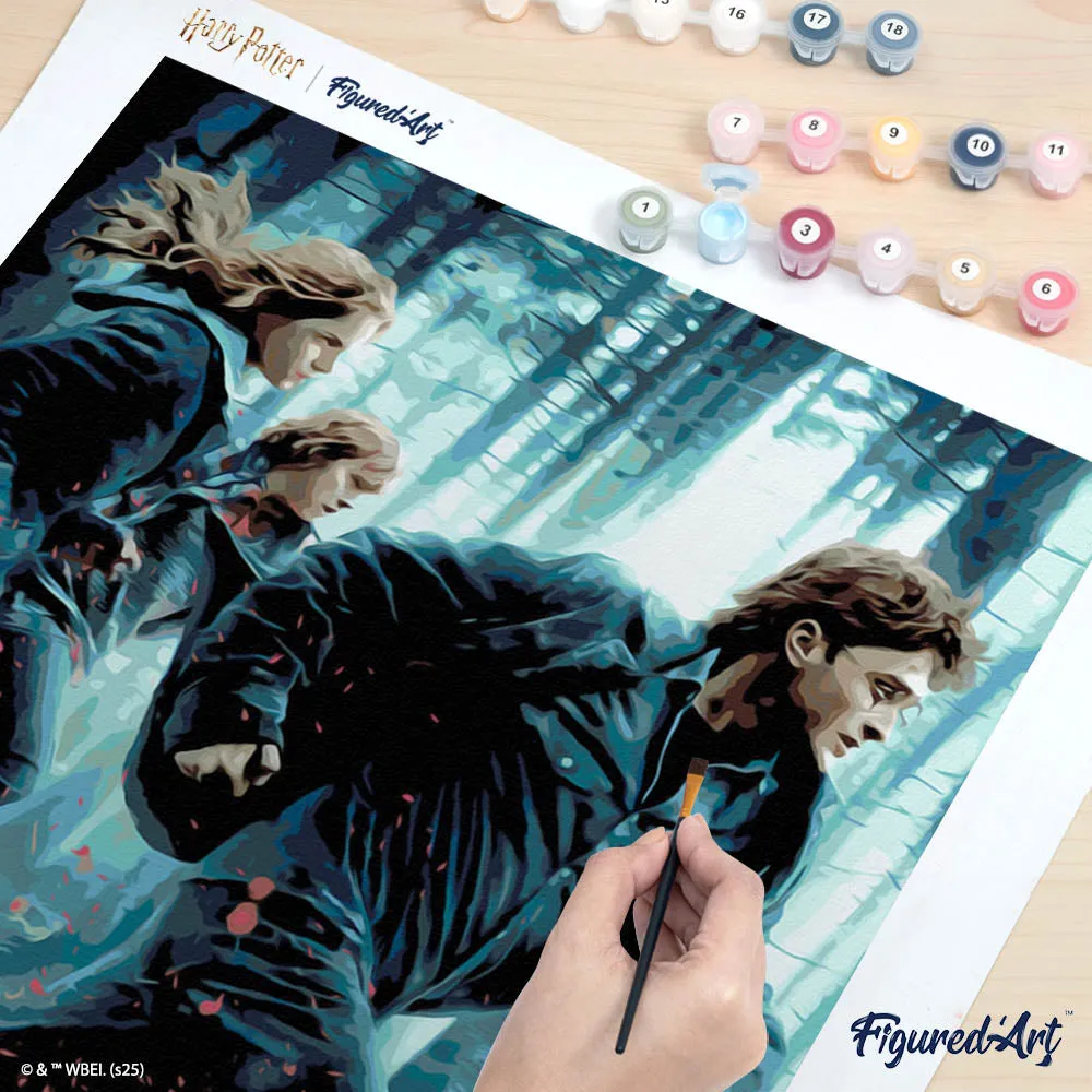 Figured'Art Harry Potter Relieken Deel 1 poster 40x50 nummer