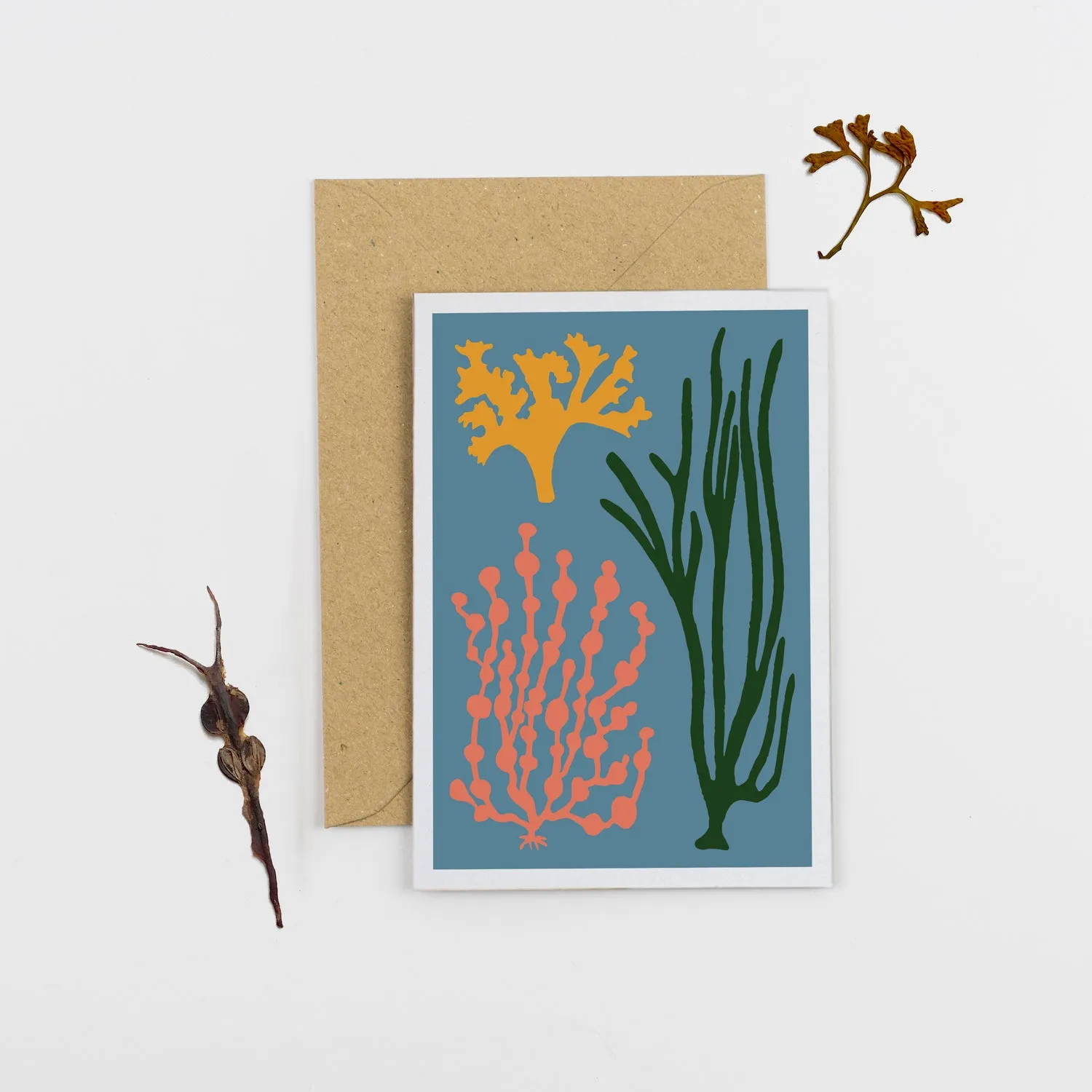 Studio Wald Seaweed wenskaart blauw A6