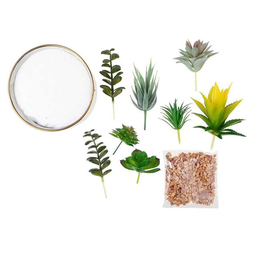 Craft Buddy Forever Flowerz vetplantjes met keramieken pot 15cm