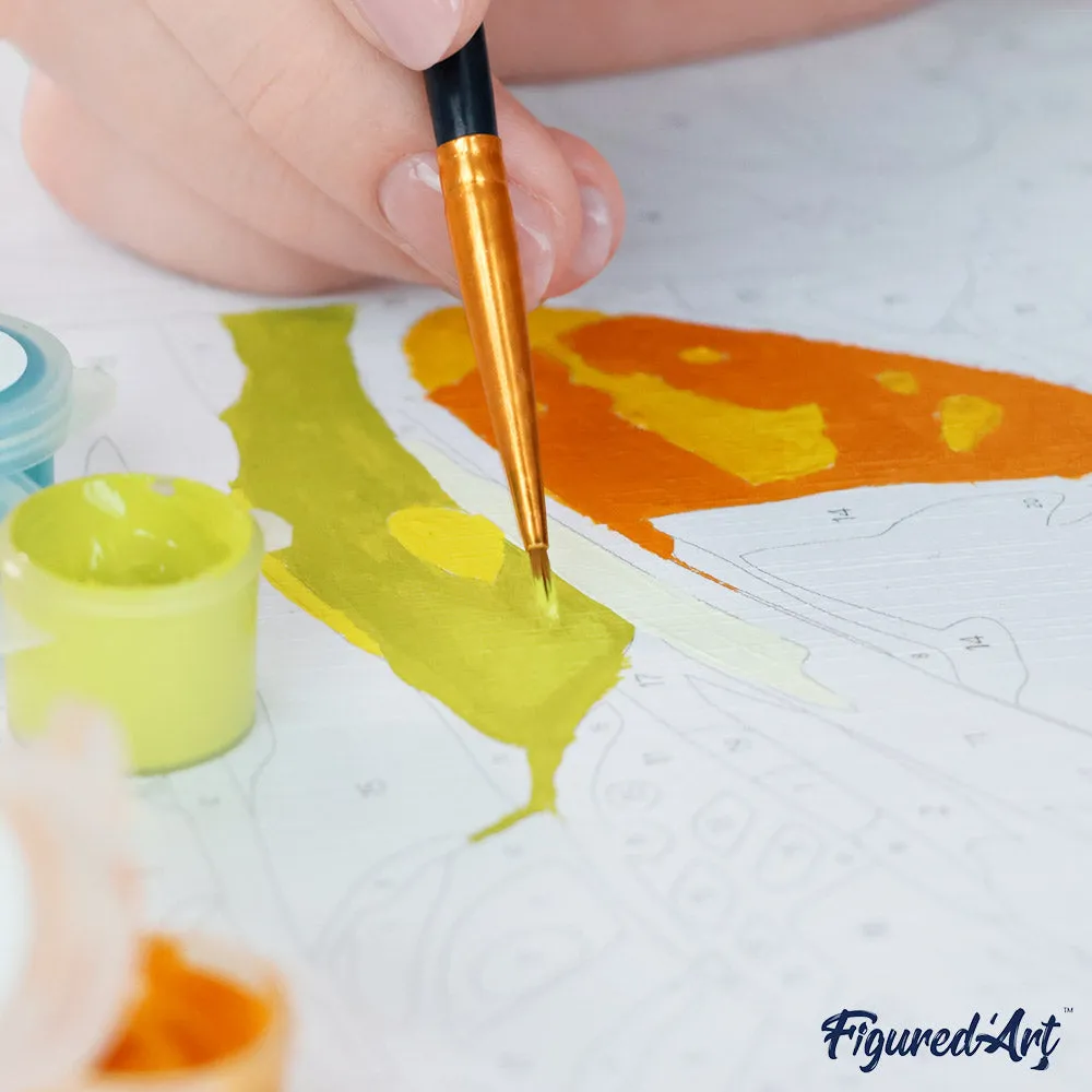 Figured'Art Zwarte Zomerkat cadeauset schilderen op nummer