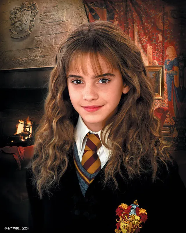 Figured'Art Hermione Granger diamond painting ingelijst 40x50cm vierkant