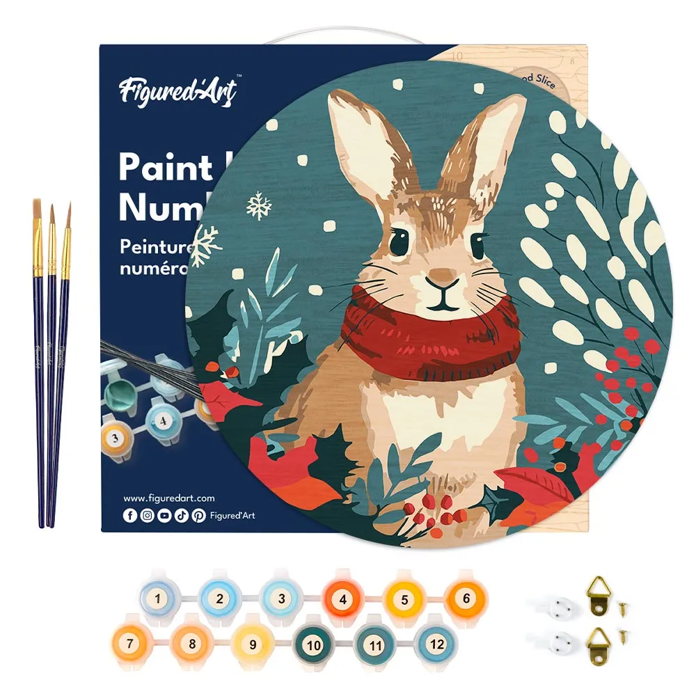 Figured'Art Kerstkonijntje schilderen op nummer houten schijf 30 cm kerst