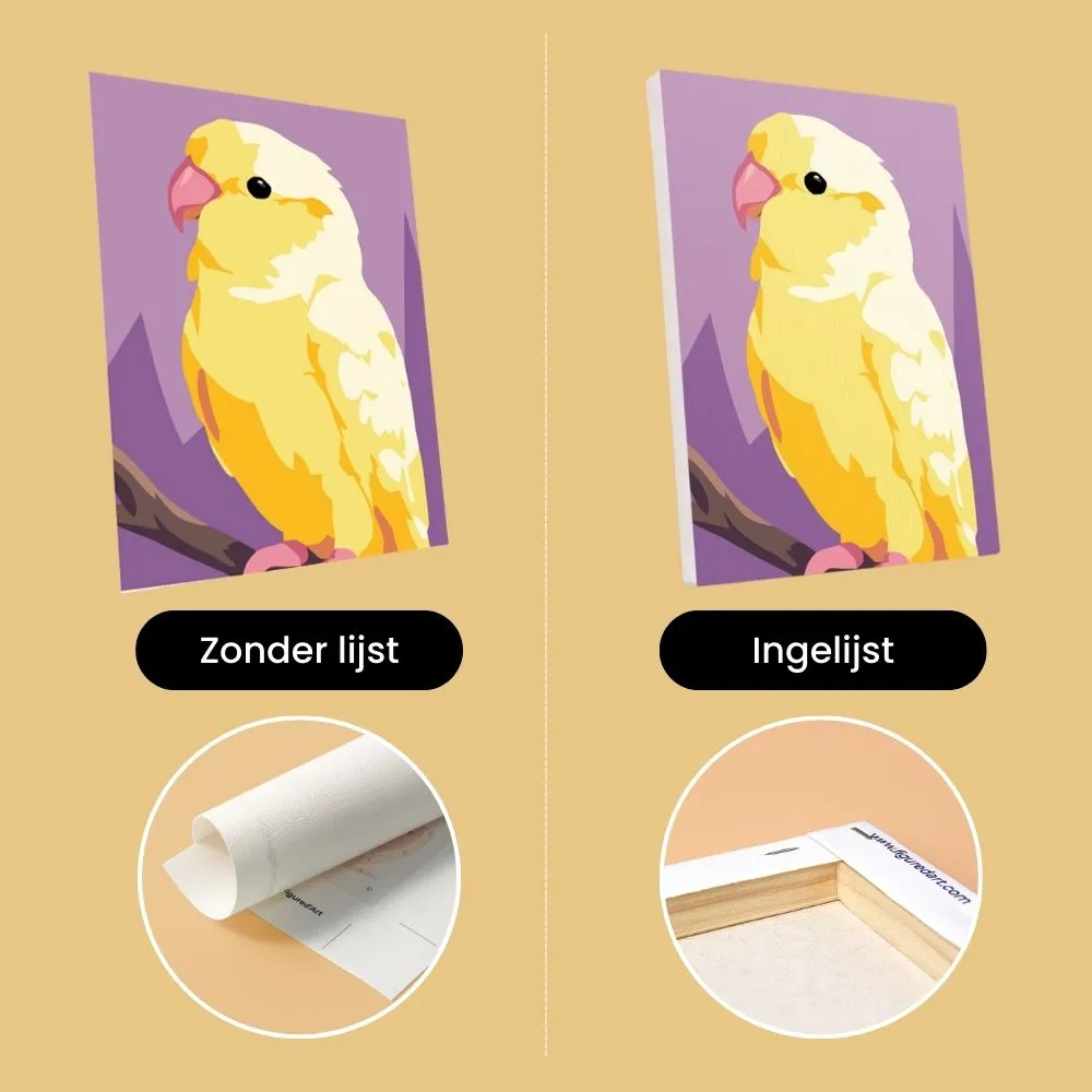 Figured'Art Jungle Melodie Mini Schilderen 15x20cm 6 Stuks Vogels