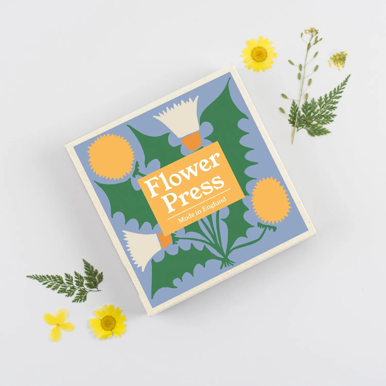 Studio Wald Dandelion bloemenpers 15x15cm esdoornfineer