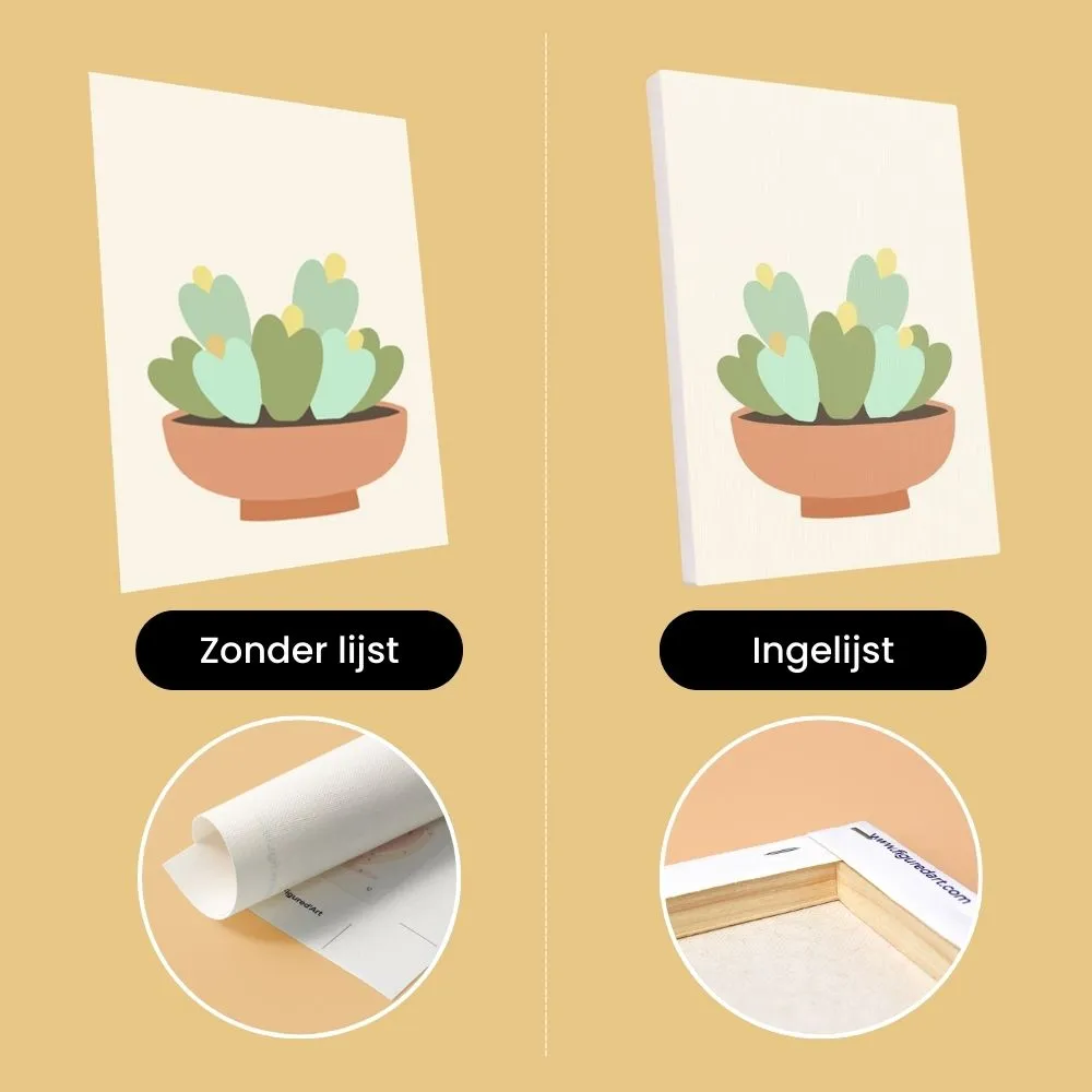 Figured'Art Cactuscollectie 2 mini schilderen op nummer 15x20 6x