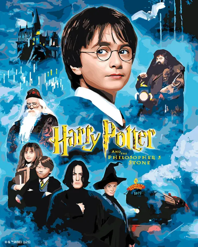 Figured'Art Harry Potter Steen der Wijzen schilderij 40x50cm