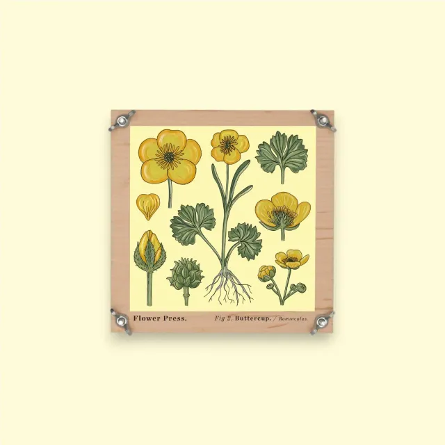 Studio Wald Flower Press bloemenpers vintage buttercup 15 cm