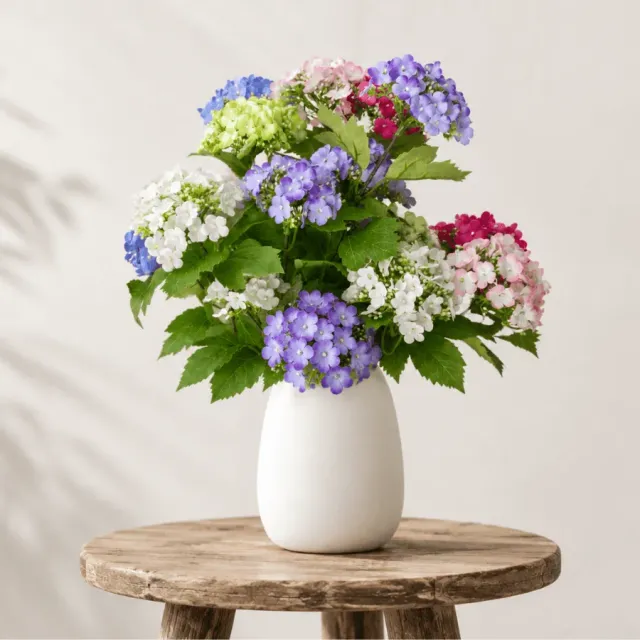 Forever Flowerz Sweet Viburnum bloemenset 12 stuks