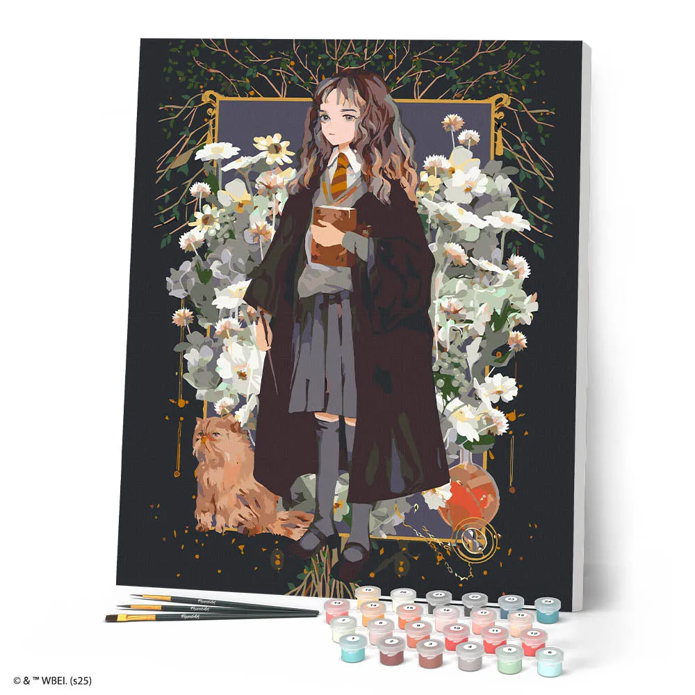 Figured'Art Harry Potter Hermione Granger Yume schilderen op nummer 40x50 cm