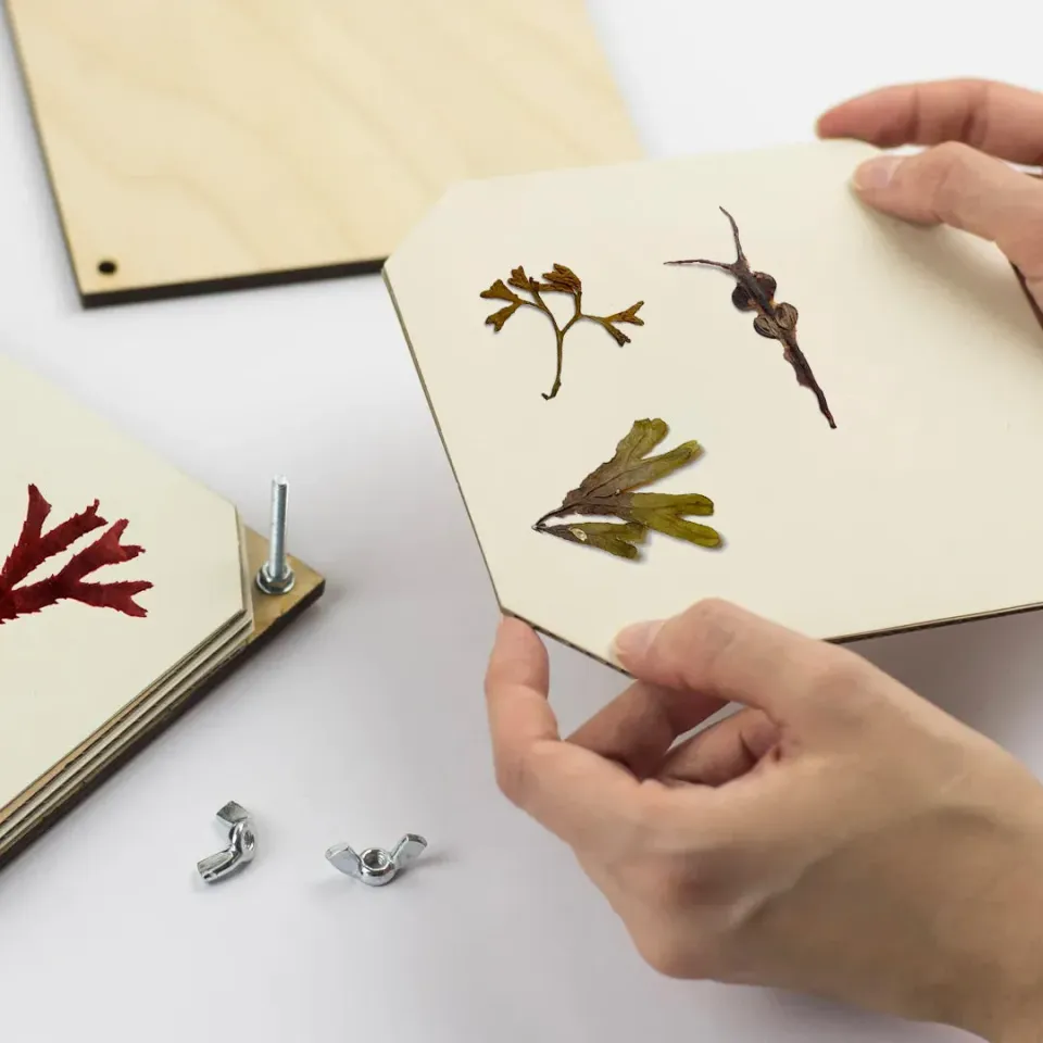 Studio Wald Seaweed Press navulset 14,5x14,5 cm papier