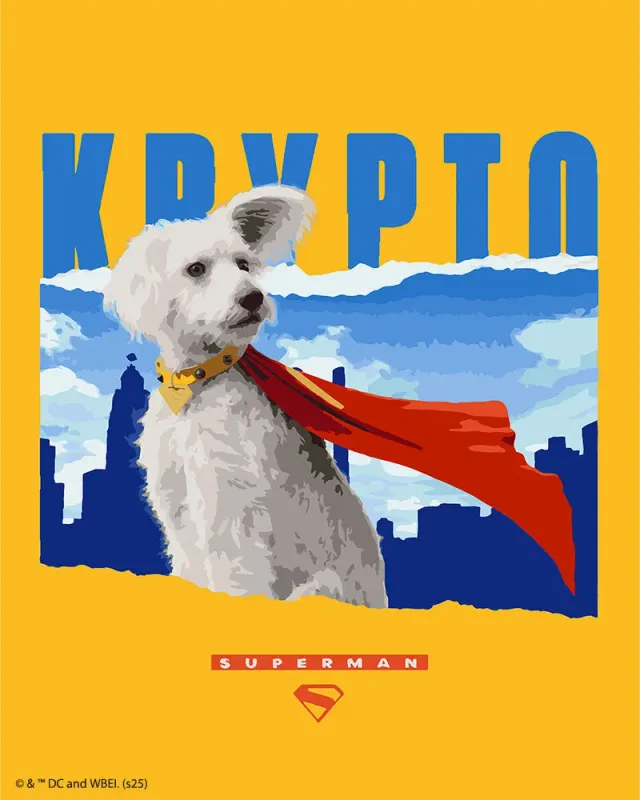 Figured'Art Superman Krypto schilderen op nummer 40x50 DC collector