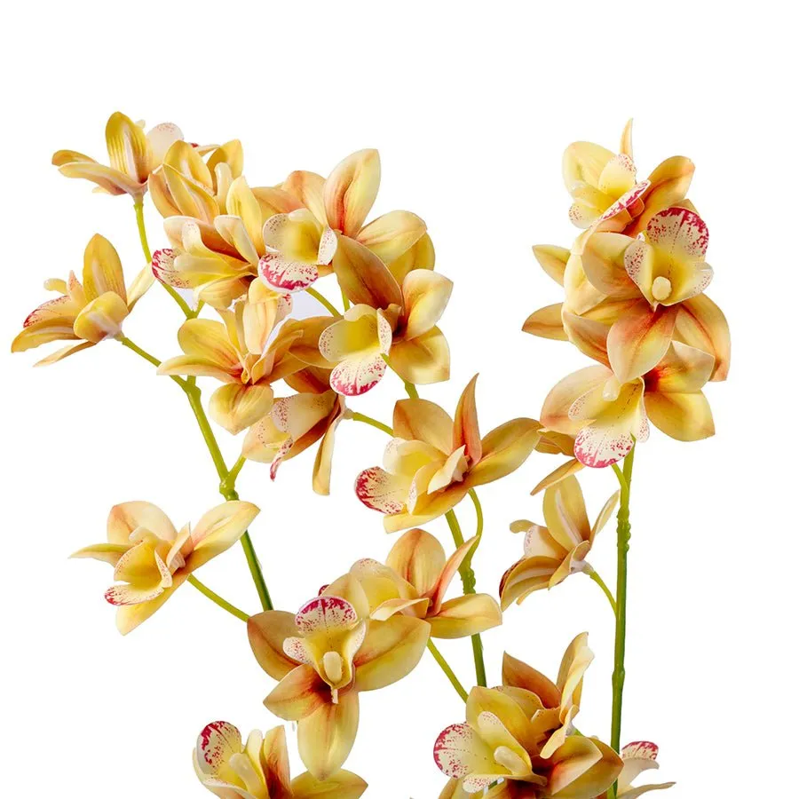 Craft Buddy Forever Flowerz Cymbidium orchidee crème pot