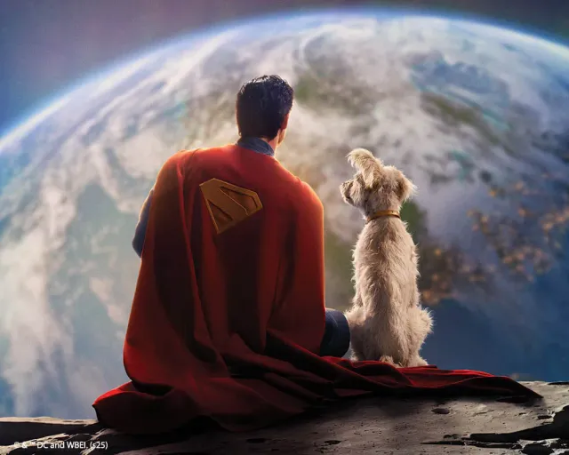 Figured'Art Superman en Krypto diamond painting 40x50 ingelijst