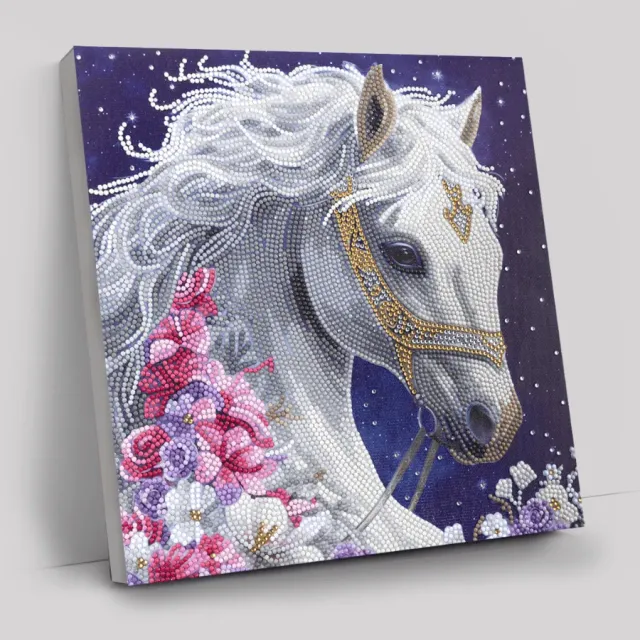 Craft Buddy Crystal Art Mystic Beauty canvas 30x30 cm partial
