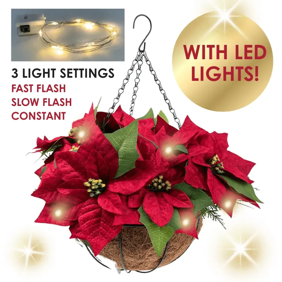 Craft Buddy Forever Flowerz Poinsettia LED hangmand knutselset 10 bloemen