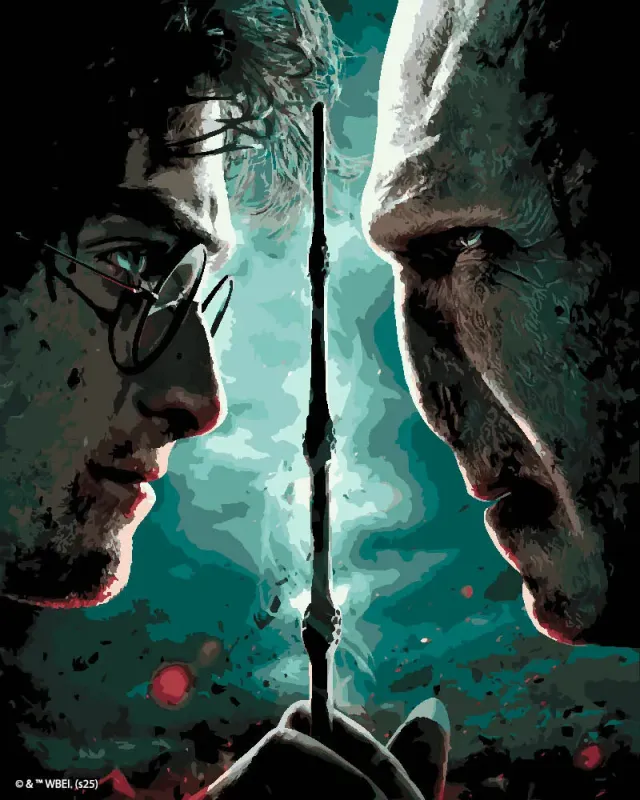 Figured'Art Harry Potter tegen Lord Voldemort schilderen op nummer 40x50 cm gevorderd