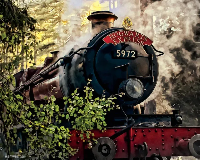 Figured'Art Hogwarts Express Diamond Painting 40x50cm Full