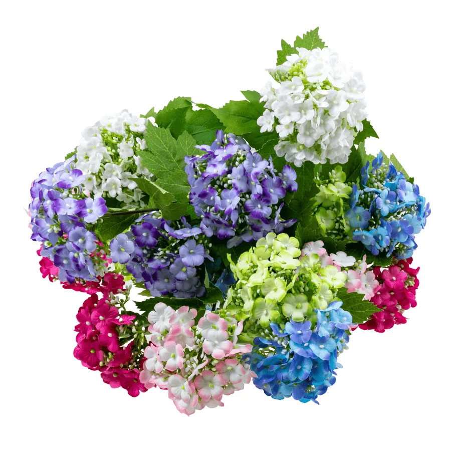 Forever Flowerz Sweet Viburnum bloemenset 12 stuks