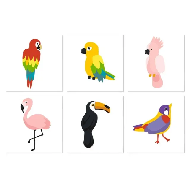 Figured'Art Mini Serie Tropische vogels schilderen op nummer 20x20cm 6 stuks