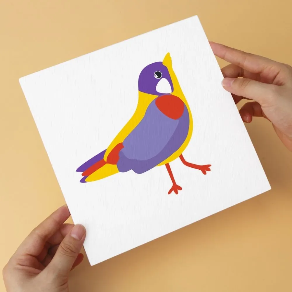 Figured'Art Mini Serie Tropische vogels schilderen op nummer 20x20cm 6 stuks