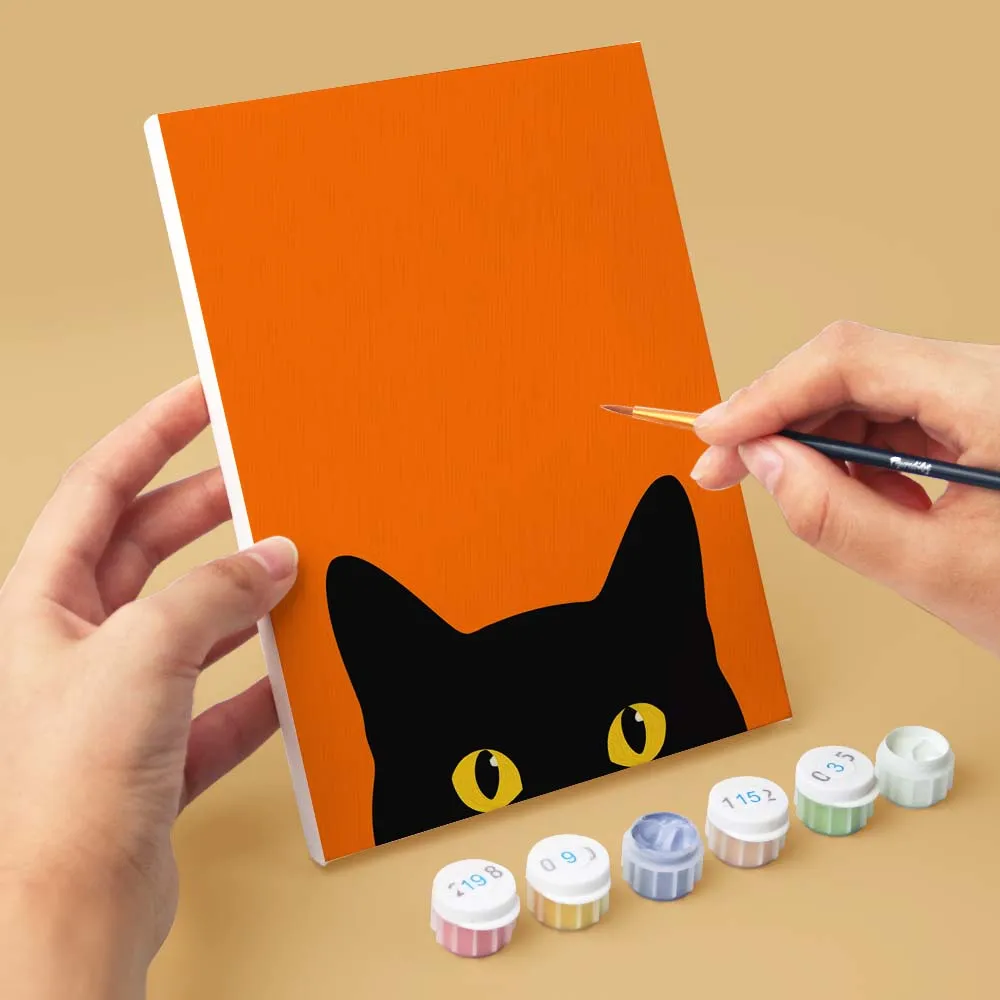 Figured'Art Mini Serie Zwarte Kat Kiekeboe schilderen op nummer 15x20cm 6 stuks
