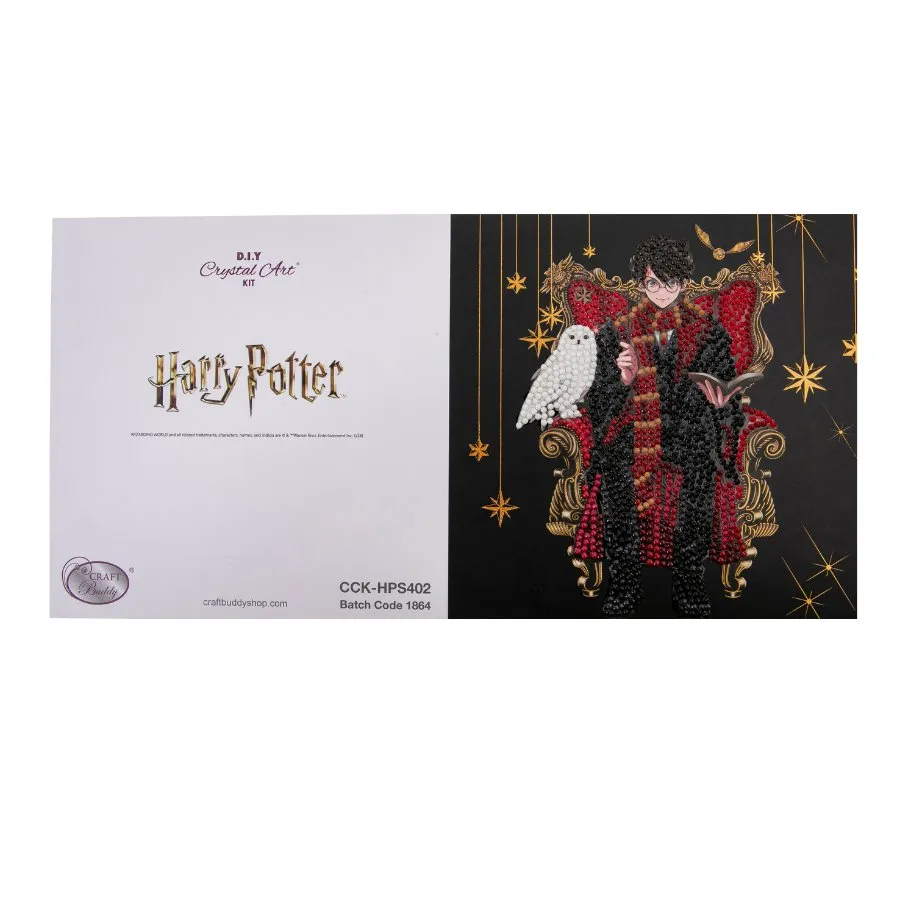 Craft Buddy Harry Potter Harry & Hedwig crystal art kaart 18cm